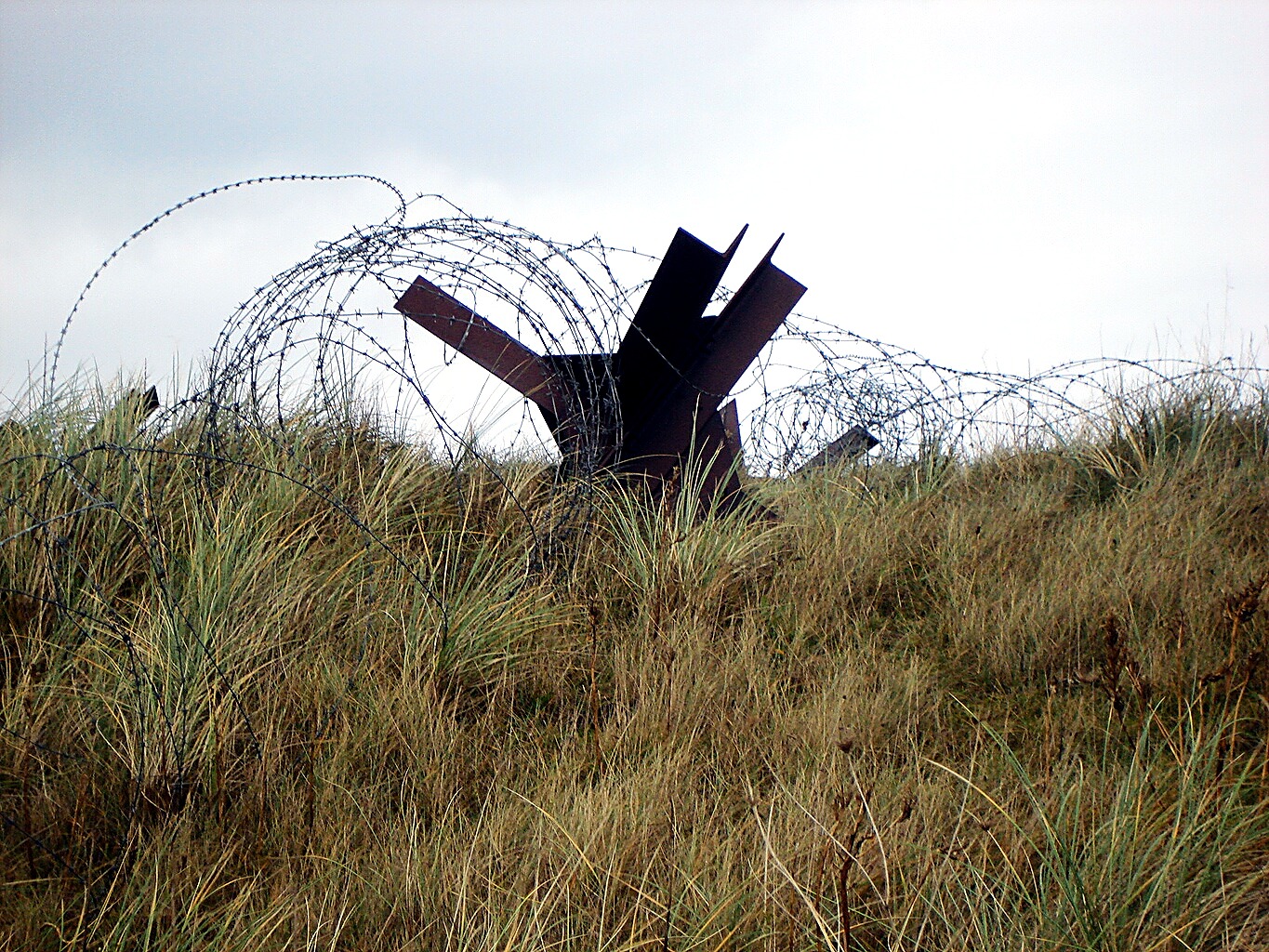 Rusted German beach obstacles wrapped in barbed wire in the dune grass at Pointe du Hoc