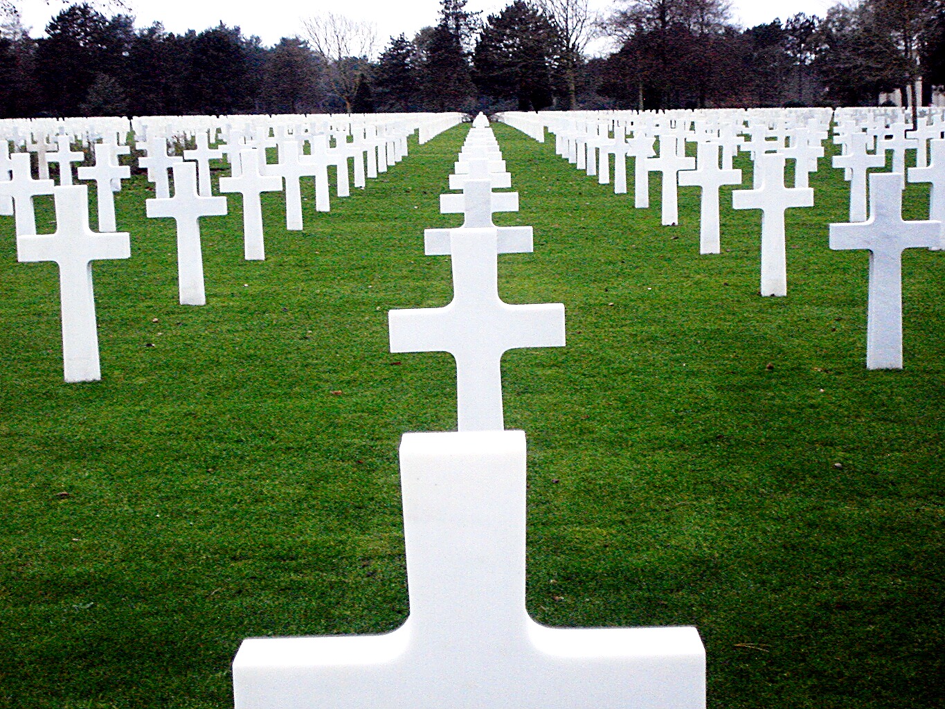 Rows of white marble crosses at the Normandy American Cemetery