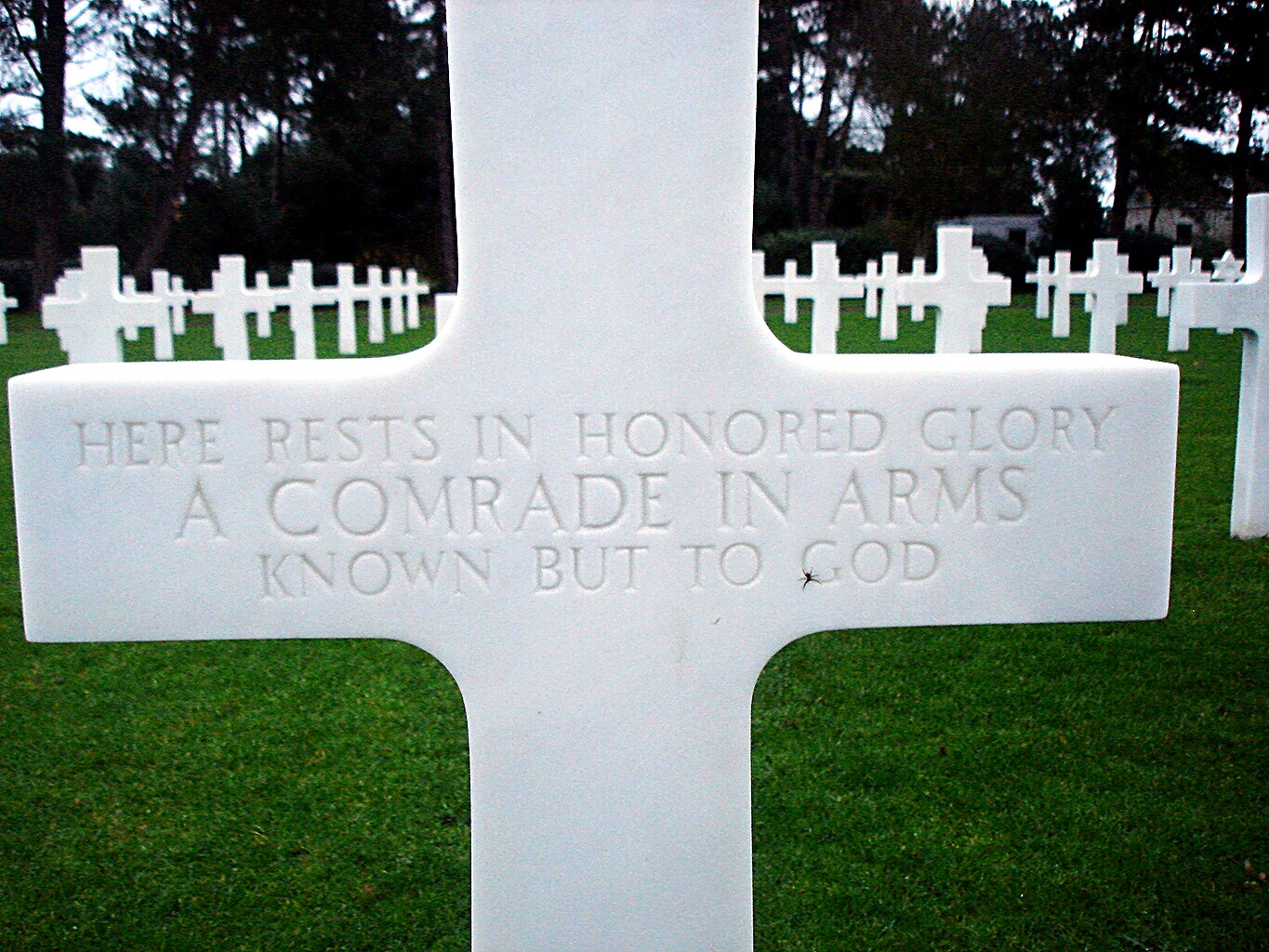 Headstone inscribed: Here rests in honored glory a comrade in arms known but to God