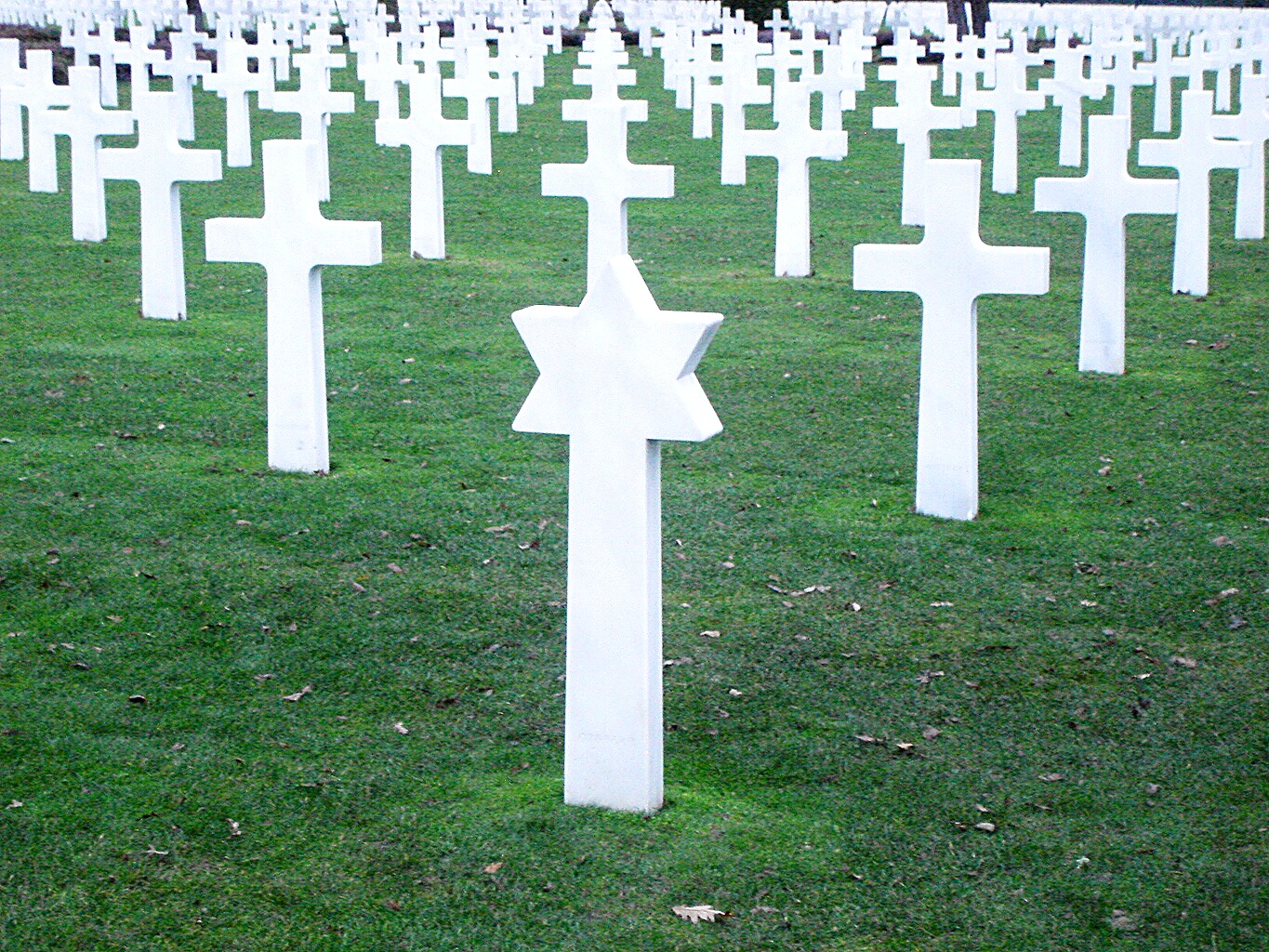 A Star of David headstone among crosses at the Normandy American Cemetery